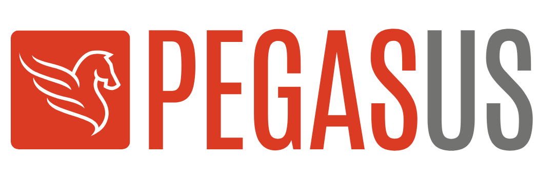 Fly pegasus